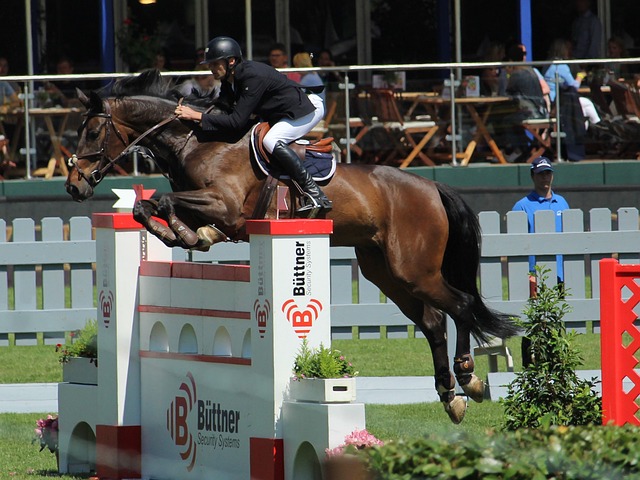 捷报比分足球即时比分：身穿法拉利车队队服，方昊现场观战F中国站的比赛.